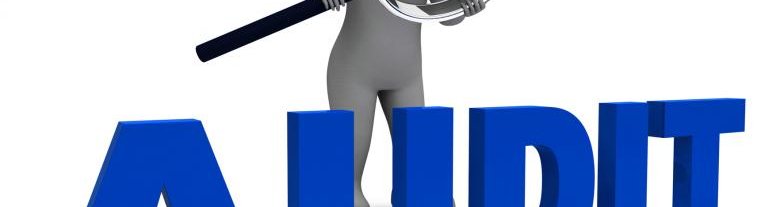 Auditing services